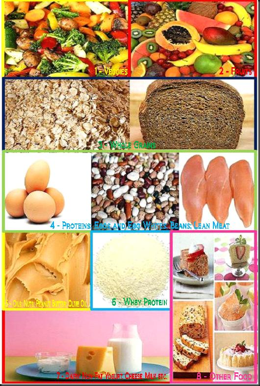 Abs diet meal recipes